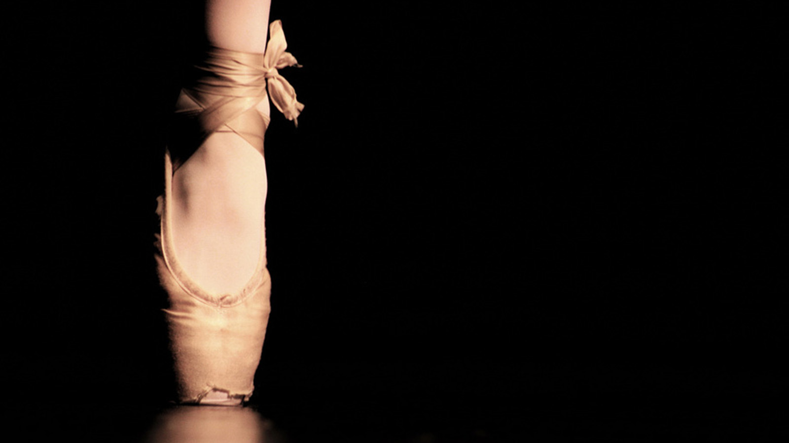 Anatomy of a Pointe Shoe — Ballet Fusion
