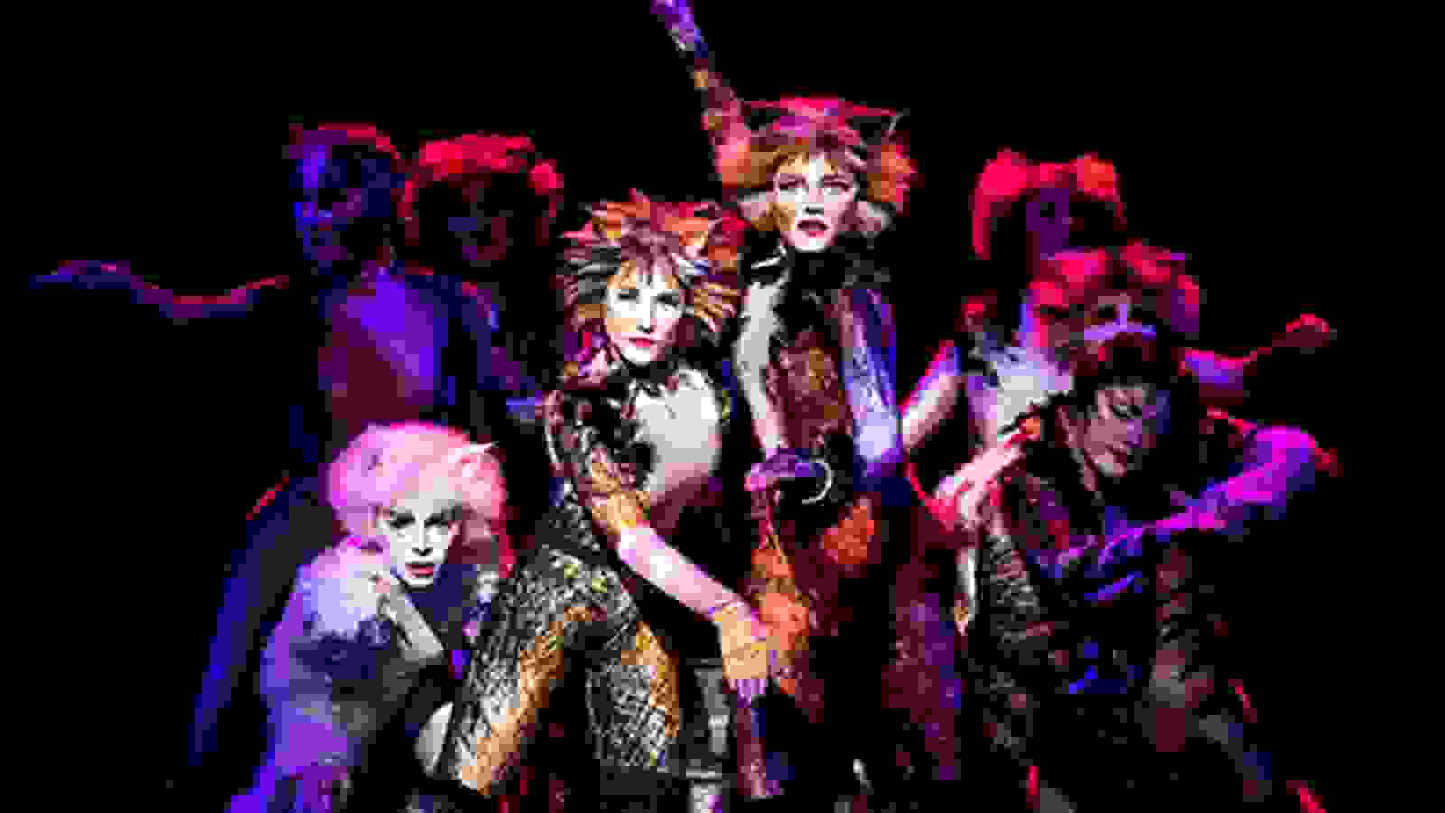 Cats  The John F. Kennedy Center for the Performing Arts